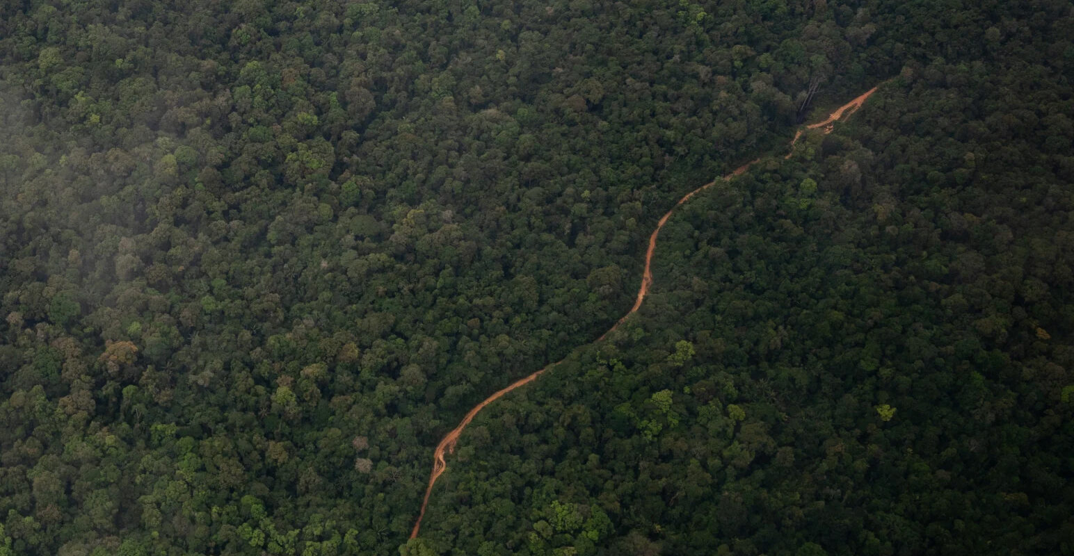 An aerial view of a road cutting through the Guyana jungle on March 9, 2025.