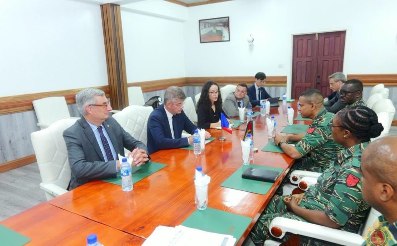 FRENCH SENATE DELEGATION CALLS ON CHIEF OF DEFENCE STAFF